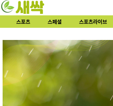 사설 토토 사이트 새싹 먹튀 금액은 1850 고액입니다 주의하세요